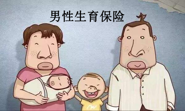 男性职工为什么要交生育保险